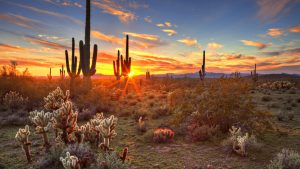 Arizona – temperatura, klimat i pogoda przez cały rok