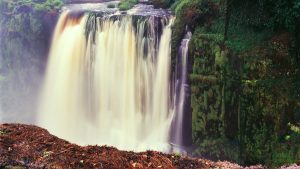 Gabon – temperatura, klimat i pogoda przez cały rok