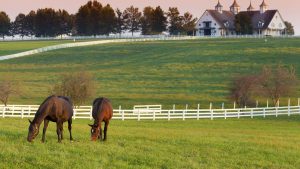 Kentucky – temperatura, klimat i pogoda przez cały rok