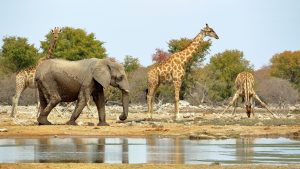 Namibia – temperatura, klimat i pogoda przez cały rok