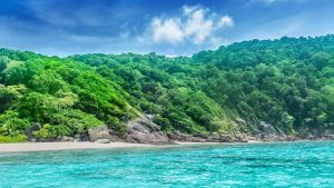Nauru – temperatura, klimat i pogoda przez cały rok
