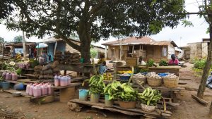Nigeria – temperatura, klimat i pogoda przez cały rok