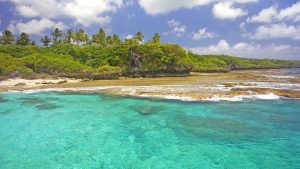 Niue – temperatura, klimat i pogoda przez cały rok