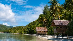 Papua Nowa Gwinea – temperatura, klimat i pogoda przez cały rok