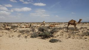 Pogoda w Somalia w grudzień 2025