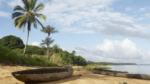 Surinam – temperatura, klimat i pogoda przez cały rok
