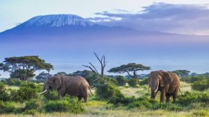 Tanzania – temperatura, klimat i pogoda przez cały rok