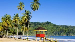 Trynidad i Tobago – temperatura, klimat i pogoda przez cały rok