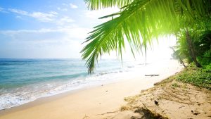 Tuvalu – temperatura, klimat i pogoda przez cały rok
