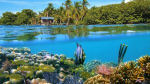 Bocas del Toro – temperatura, klimat i pogoda przez cały rok