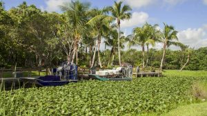 Everglades National Park – temperatura, klimat i pogoda przez cały rok