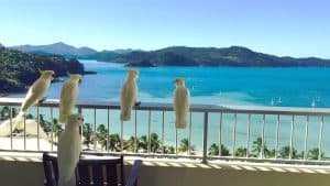 Hamilton Island – temperatura, klimat i pogoda przez cały rok