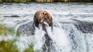 Katmai National Park – temperatura, klimat i pogoda przez cały rok
