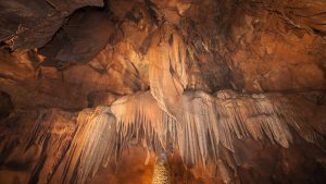 Mammoth Cave National Park – temperatura, klimat i pogoda przez cały rok