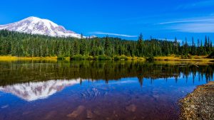 Mount Rainier National Park – temperatura, klimat i pogoda przez cały rok