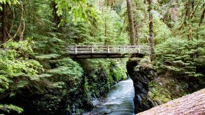 Olympic National Park – temperatura, klimat i pogoda przez cały rok