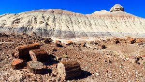 Petrified Forest National Park – temperatura, klimat i pogoda przez cały rok