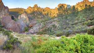 Pinnacles National Park – temperatura, klimat i pogoda przez cały rok