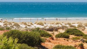 Pogoda w Chiclana de la Frontera w listopad 2025