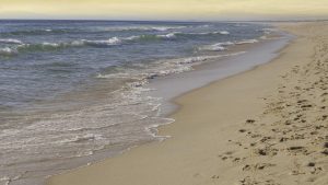 Comporta – temperatura, klimat i pogoda przez cały rok