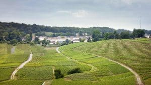 Épernay – temperatura, klimat i pogoda przez cały rok