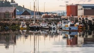 Ancud – temperatura, klimat i pogoda przez cały rok