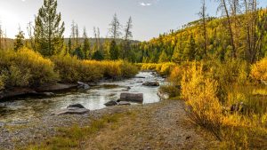Elk River – temperatura, klimat i pogoda przez cały rok