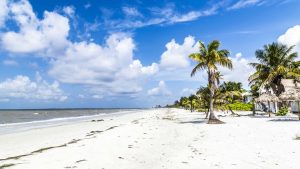 Fort Myers Beach – temperatura, klimat i pogoda przez cały rok