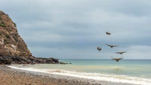 Isla de La Plata – temperatura, klimat i pogoda przez cały rok