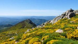 Lozère – temperatura, klimat i pogoda przez cały rok