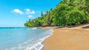 Puerto Limón – temperatura, klimat i pogoda przez cały rok
