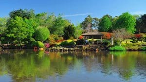 Toowoomba – temperatura, klimat i pogoda przez cały rok