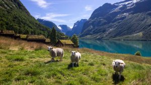 Loen – temperatura, klimat i pogoda przez cały rok