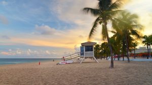 North Miami – temperatura, klimat i pogoda przez cały rok