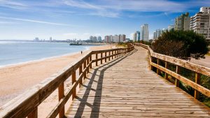 Punta del Este – temperatura, klimat i pogoda przez cały rok