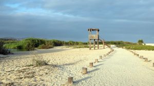 San José del Cabo – temperatura, klimat i pogoda przez cały rok