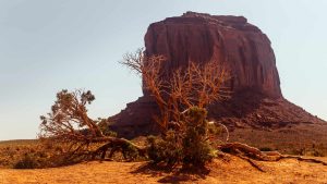 Oljato–Monument Valley – temperatura, klimat i pogoda przez cały rok