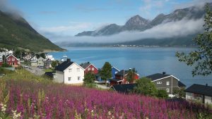Senja – temperatura, klimat i pogoda przez cały rok