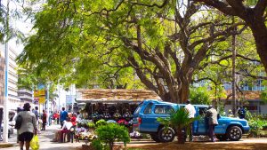Zimbabwe – temperatura, klimat i pogoda przez cały rok