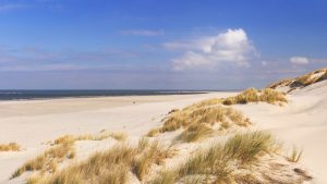 Callantsoog – temperatura, klimat i pogoda przez cały rok