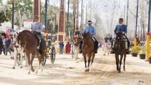Pogoda w Jerez de la Frontera w listopad 2025