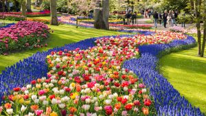 Pogoda w Keukenhof w październik 2015