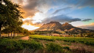 Stellenbosch – temperatura, klimat i pogoda przez cały rok
