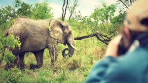 Krugerpark – temperatura, klimat i pogoda przez cały rok