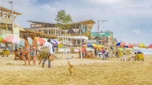 Montañita – temperatura, klimat i pogoda przez cały rok