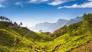 Kerala – temperatura, klimat i pogoda przez cały rok