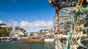Torquay – temperatura, klimat i pogoda przez cały rok