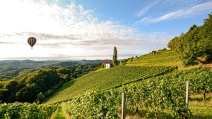 Burgundia – temperatura, klimat i pogoda przez cały rok
