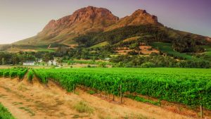 Cape Winelands – temperatura, klimat i pogoda przez cały rok