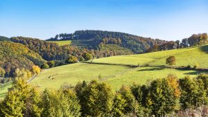 Pogoda w Sauerland w styczeń 2020